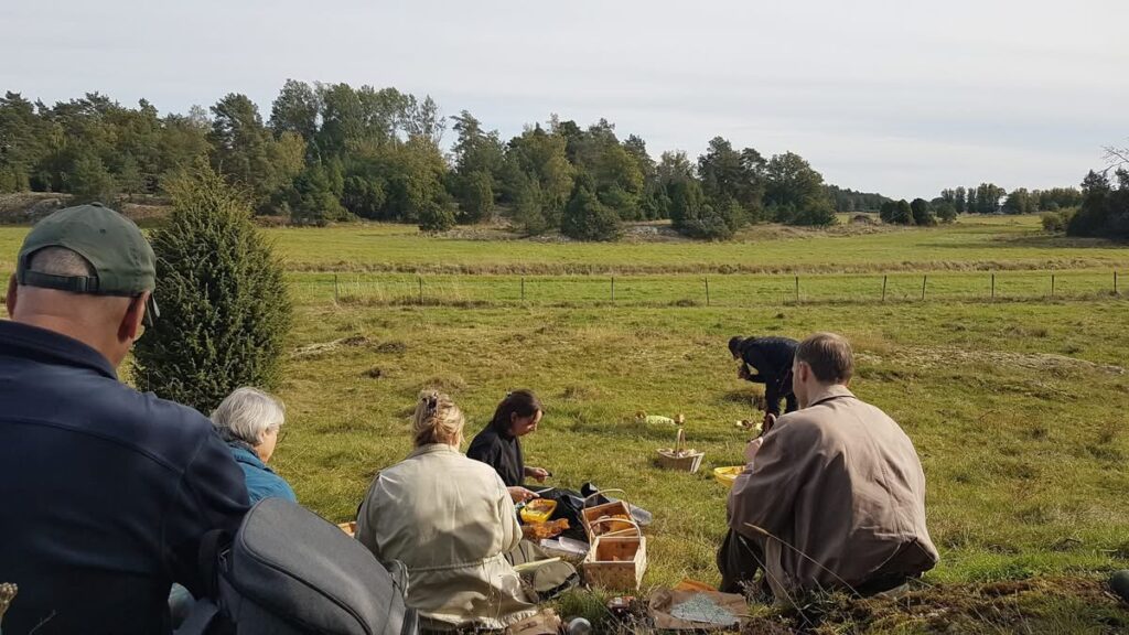 Lunchpaus i gröngräset vid gravhögarna på Berg. Deltagare sitter i på marken och äter sin medhavda lunch.
